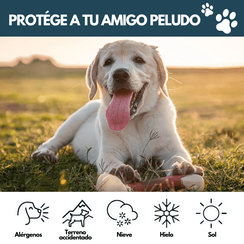 PawGuard - Bálsamo Reparador para Patas y Nariz
