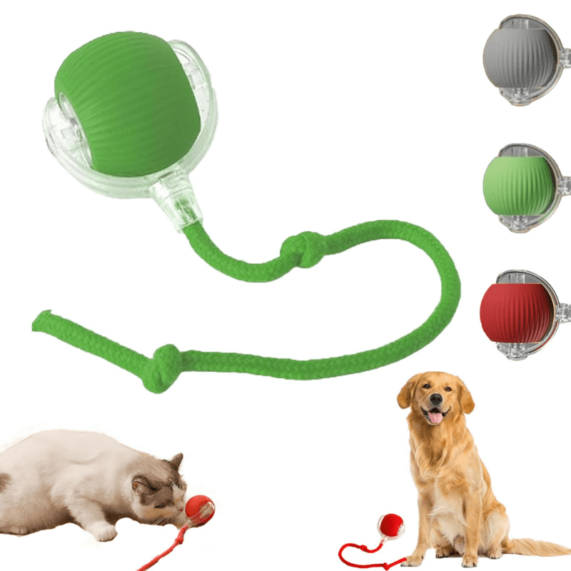VitaRoll - Bola Inteligente para Mascotas