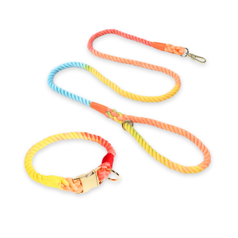 Colección Bond Color 1 - Elegancia artesanal para cada paseo