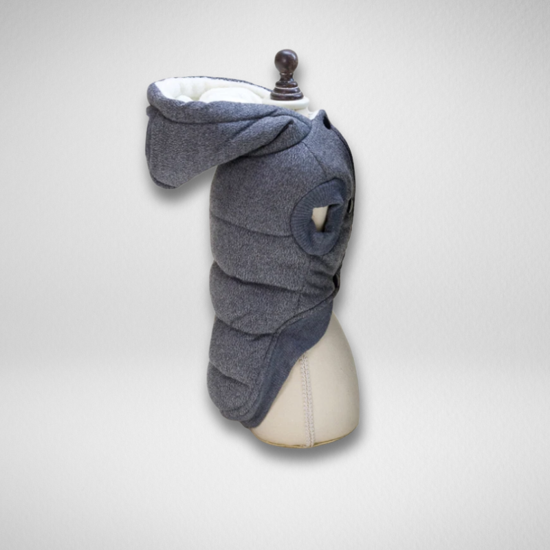 Pawsy Gris - Abrigo de Invierno con Capucha para Mascotas