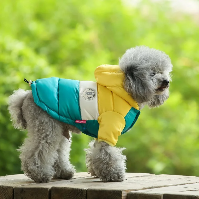 Warmy Azul y Amarillo - Chaqueta Impermeable de Invierno para Mascotas