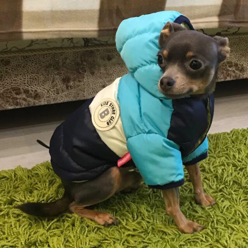 Warmy Negro y Azul - Chaqueta Impermeable de Invierno para Mascotas