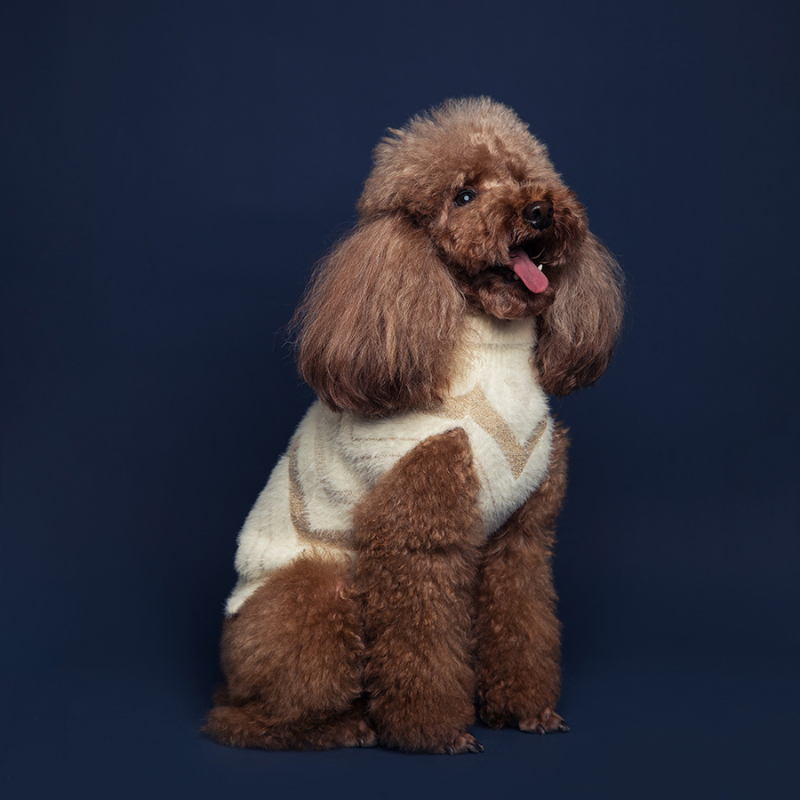 Jersey Snug - Tejido Suave para Mascotas