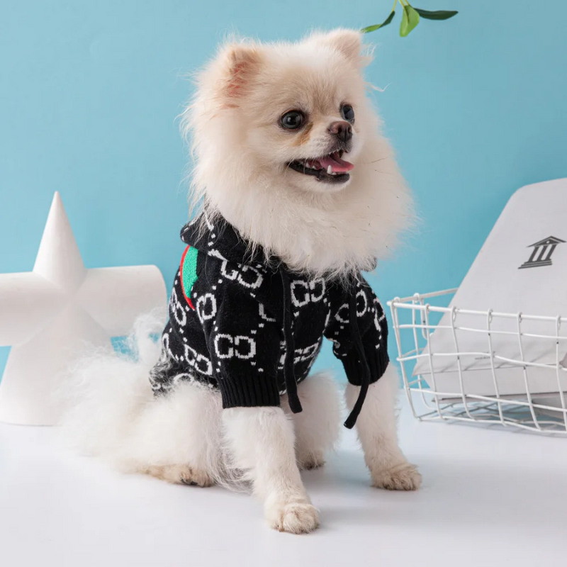 Knitsy Negro - Jersey con Capucha para Mascotas