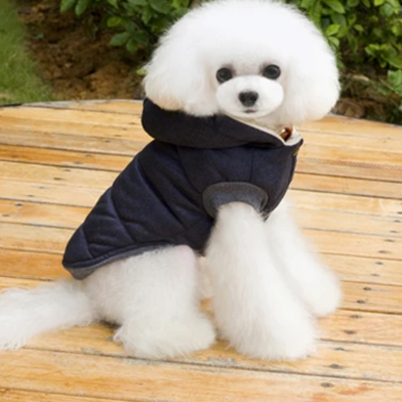 Pawsy Azul - Abrigo de Invierno con Capucha para Mascotas