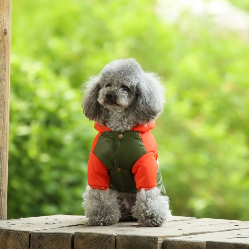 Warmy Naranja y Verde - Chaqueta Impermeable de Invierno para Mascotas