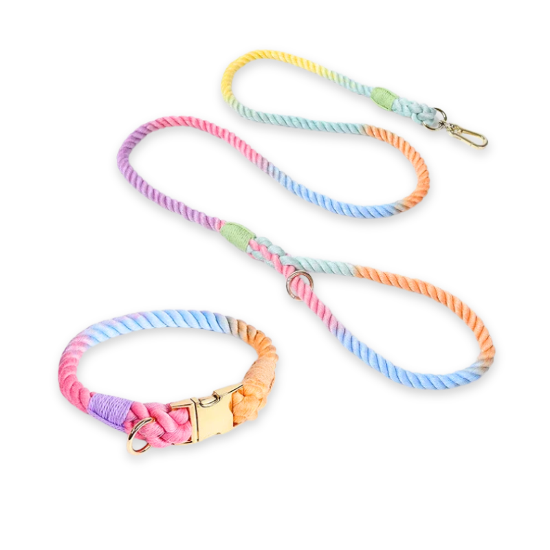 Colección Bond Color 2 - Elegancia artesanal para cada paseo