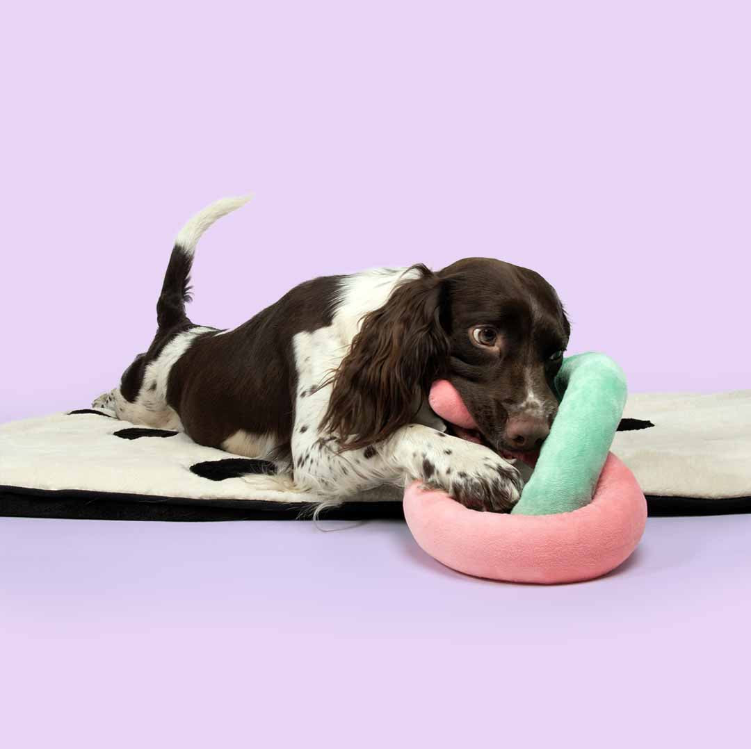 Juguete para Perros SNUGGLE SNAKE - Colores Surtidos - DogToy