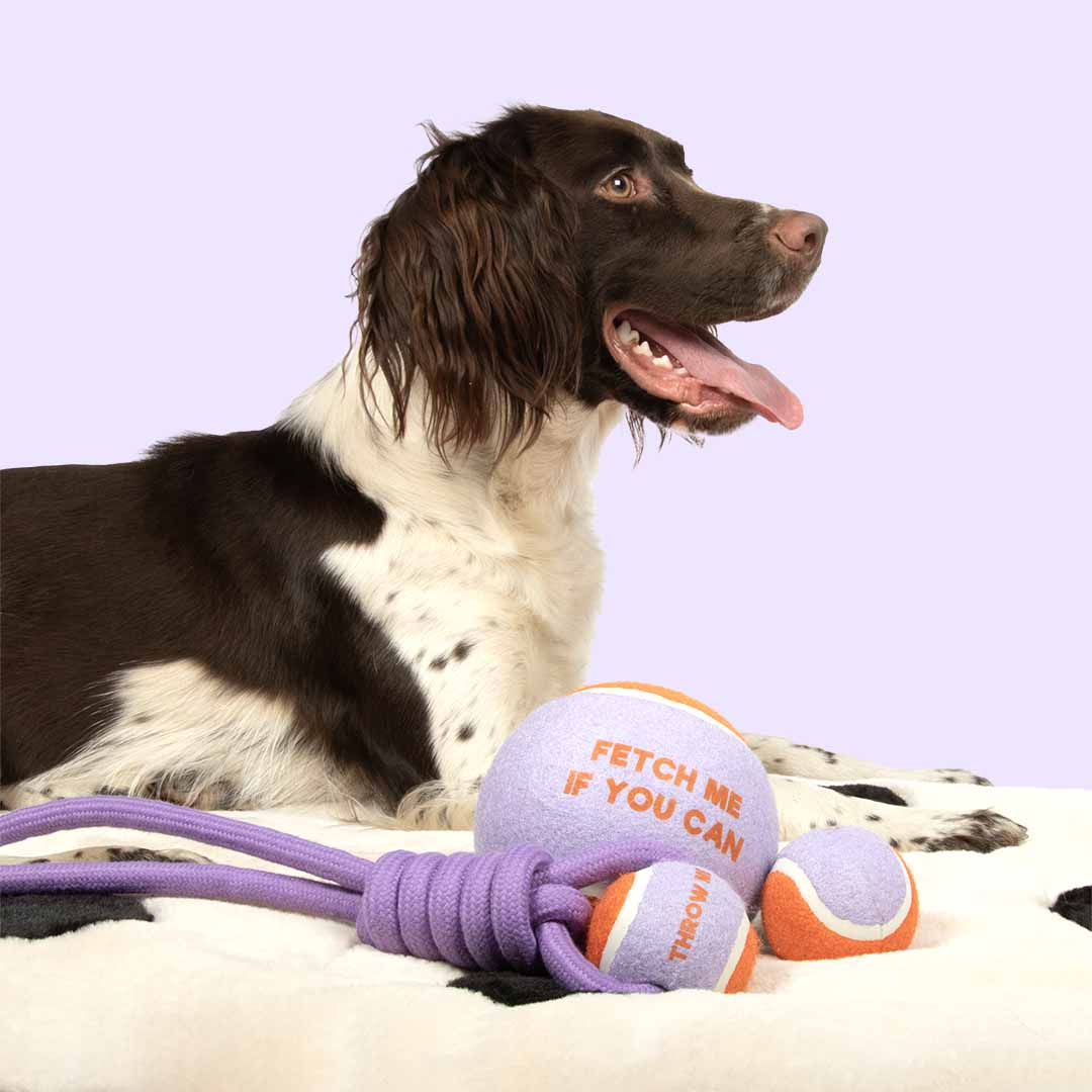 Pelota con Cuerda THROW ME - Lila/Naranja - DogToy