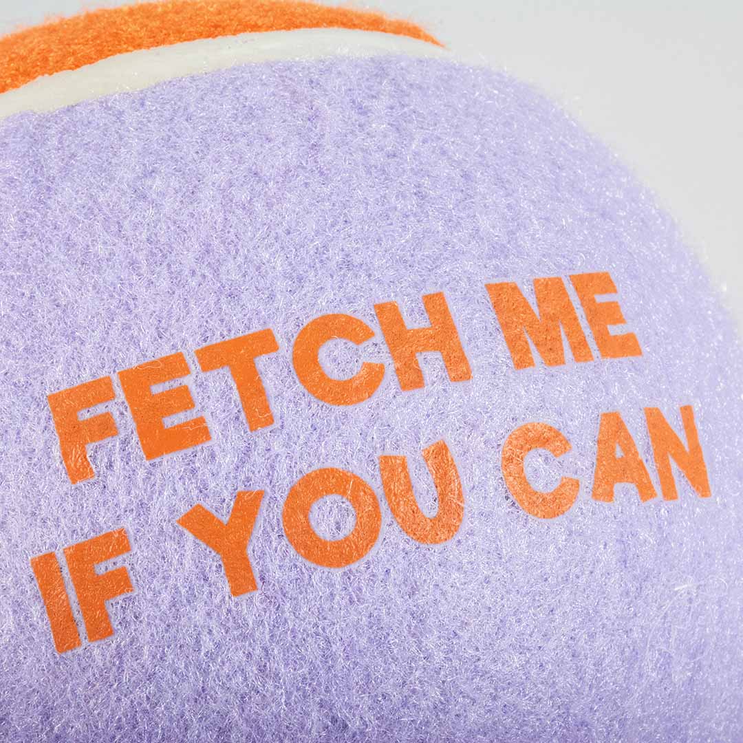 Pelota de Tenis FETCH ME - Lila/Naranja - DogToy
