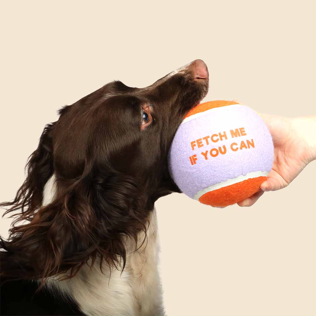 Pelota de Tenis FETCH ME - Lila/Naranja - DogToy