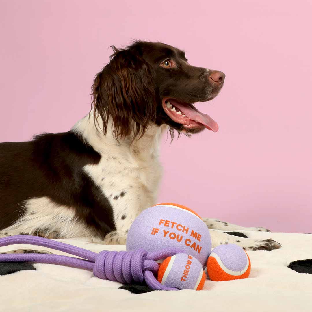 Pelota de Tenis FETCH ME - Lila/Naranja - DogToy