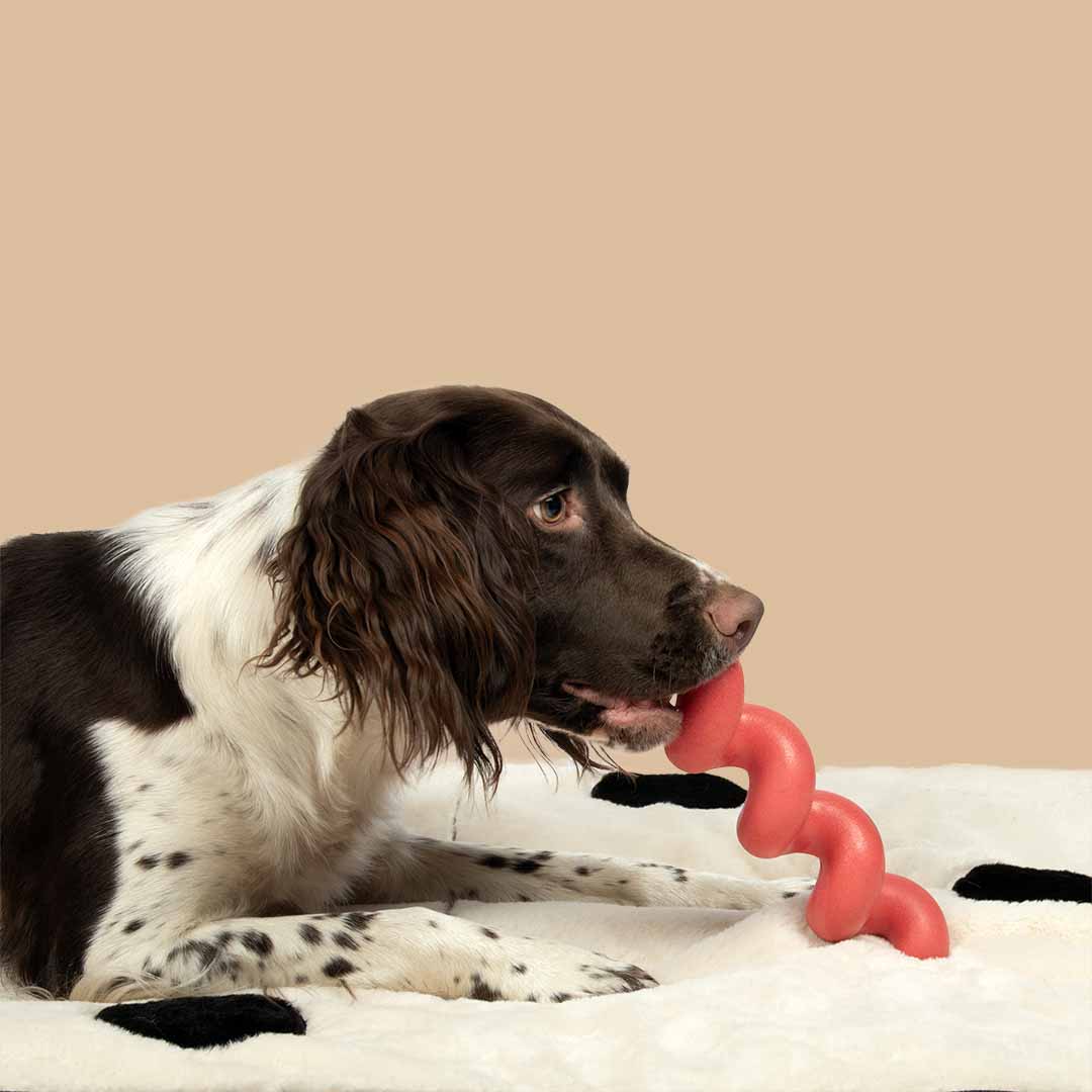 Juguete para Perros SQUIGGLE - Rojo - DogToy