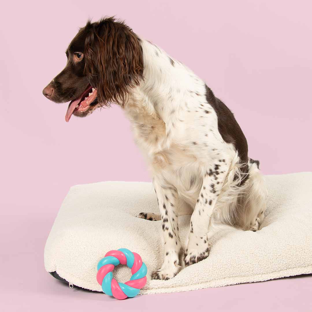 Juguete para Perros MALLOW RING - Rosa/Azul - DogToy