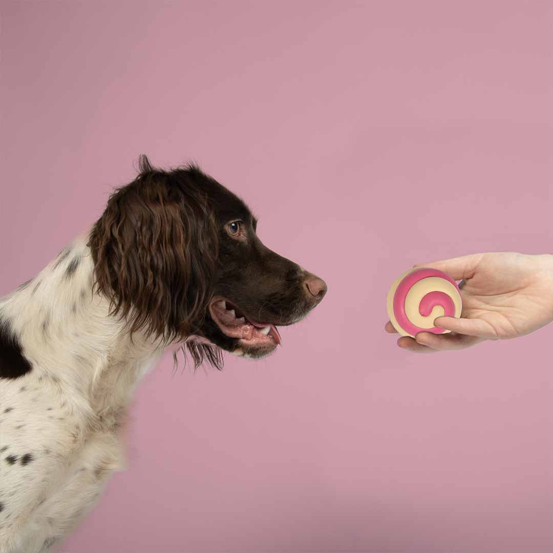 Juguete para Perros BERRY SWIRL - Rosa/Beige - DogToy
