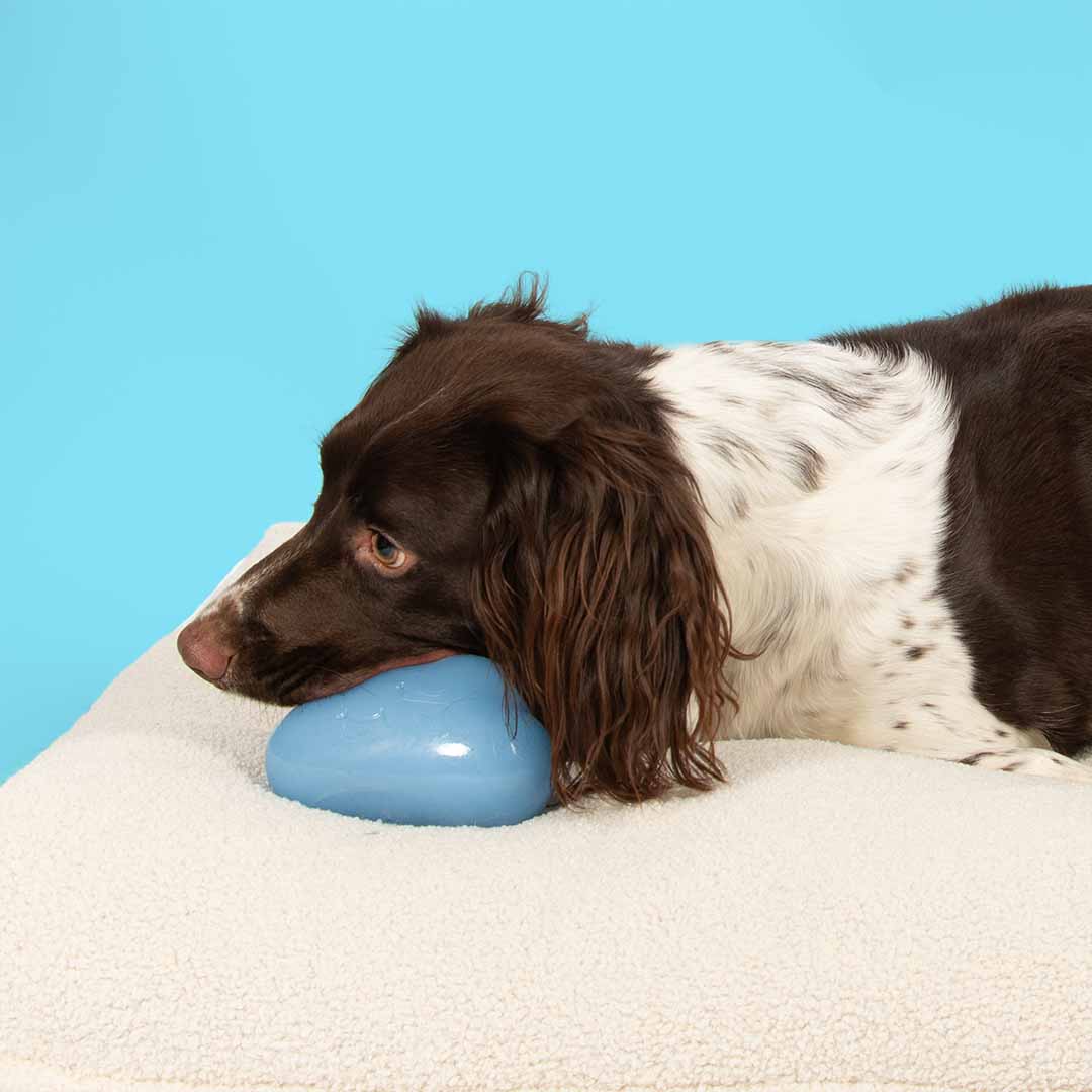 Juguete para Perros HAPPY CLOUD - Azul - DogToy