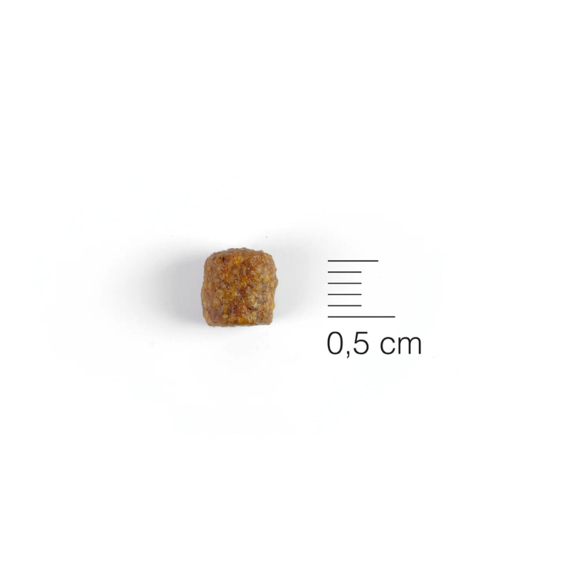 Natura Diet - Puppy Junior Mini