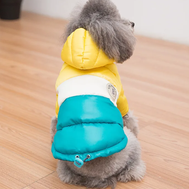 Warmy Azul y Amarillo - Chaqueta Impermeable de Invierno para Mascotas