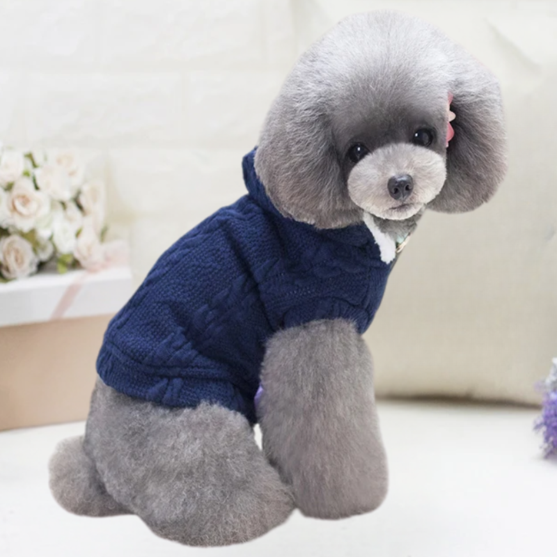 Vivid Azul - Abrigo Elegante de Invierno con Capucha para Mascotas