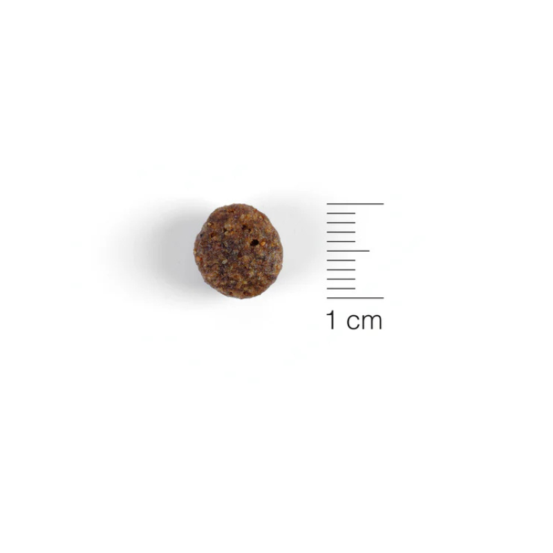 Natura Diet - Lamb & Rice Mini