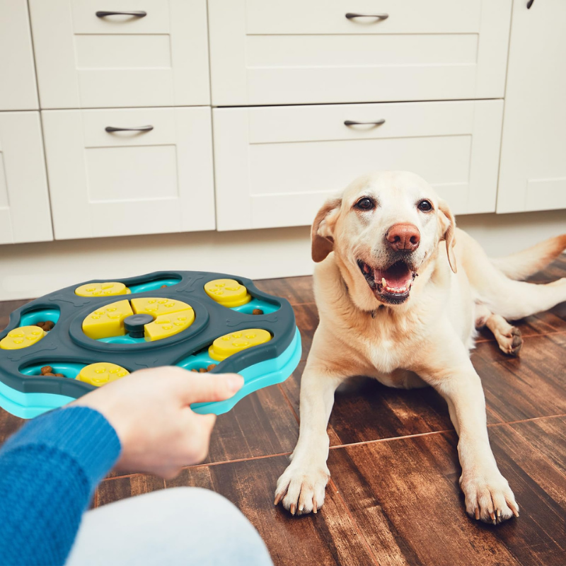 BrainBites - Juego y Alimentador para Perros