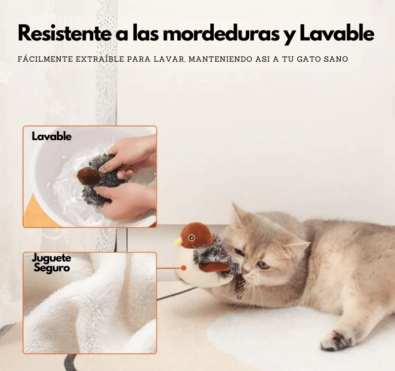 Plumix Pro - Ave interactiva