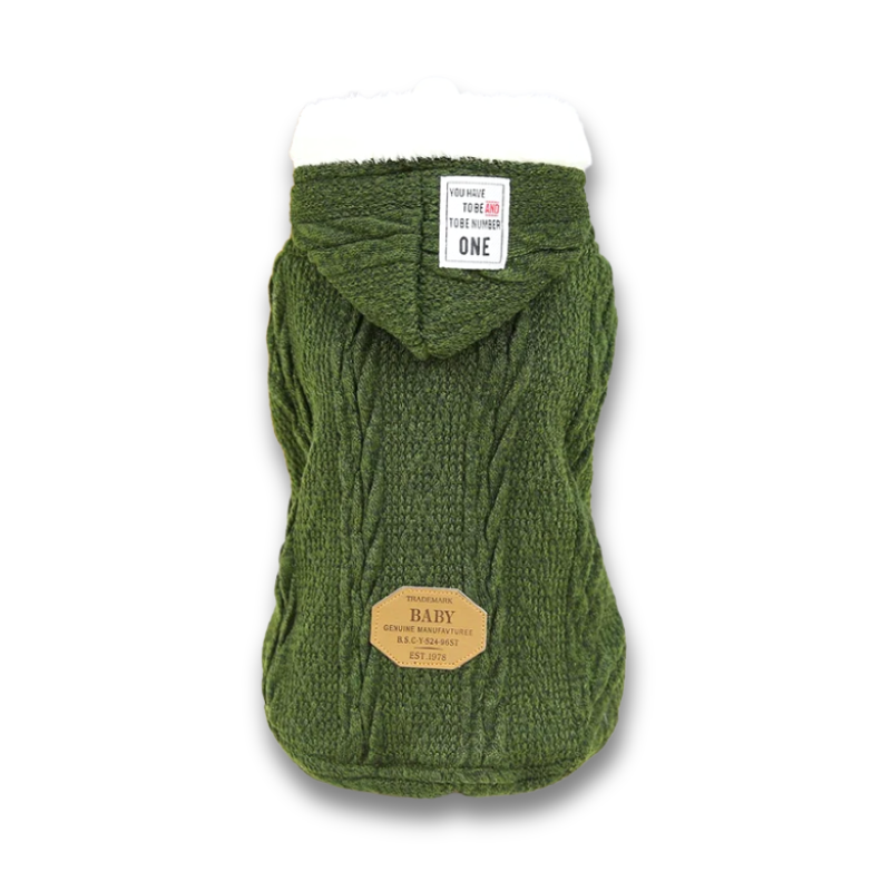 Vivid Verde - Abrigo Elegante de Invierno con Capucha para Mascotas