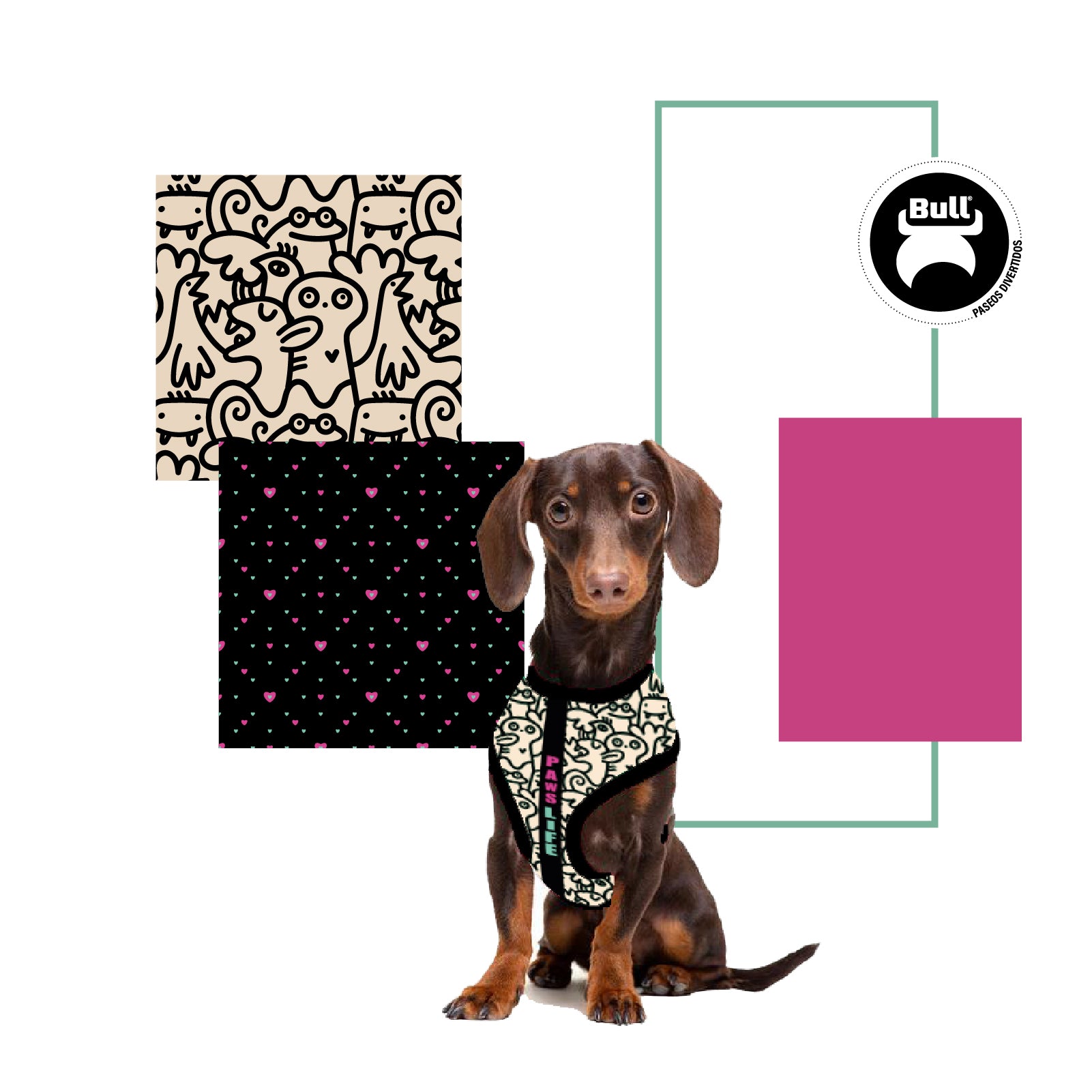 Arnés DUO PAWS LIFE - BULL