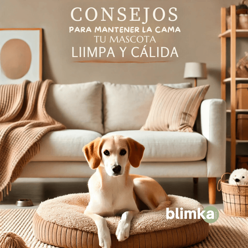 Consejos para Mantener la Cama de tu Mascota Limpia y Cálida