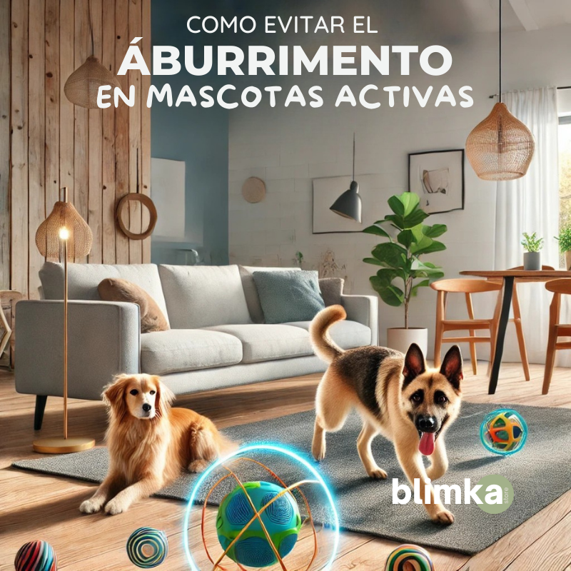 Cómo Evitar el Aburrimiento en Mascotas Activas