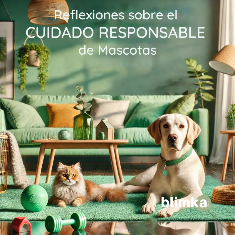 Reflexiones sobre el Cuidado Responsable de Mascotas