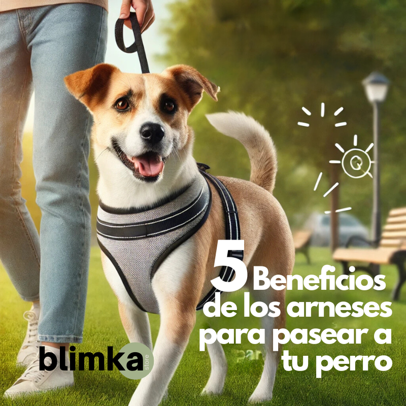 5 beneficios de los arneses para pasear a tu perro