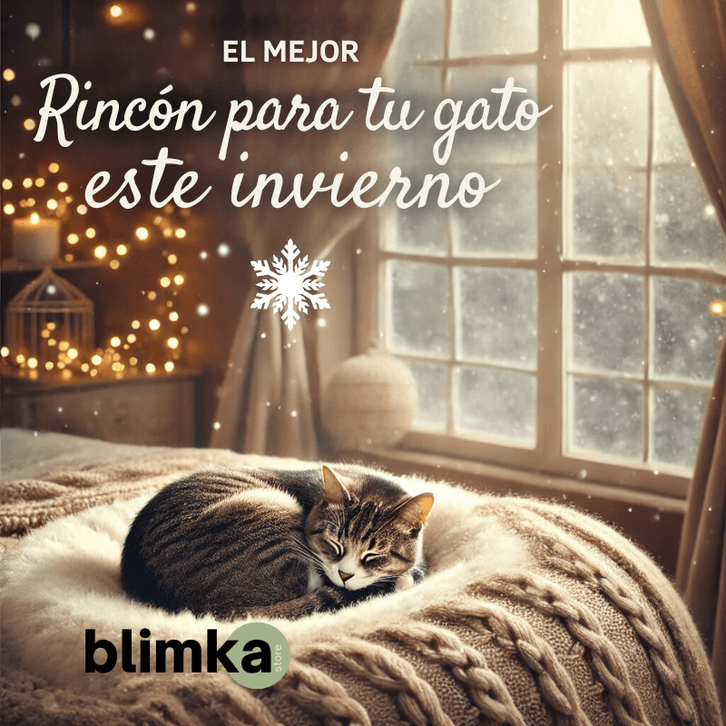 El Mejor Rincón para tu Gato este Invierno: Crea un Espacio Cálido y Acogedor