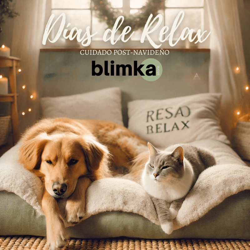 Días de Relax: Cuidado Post-Navideño para Tu Mascota