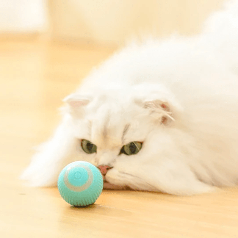 CAT GRAVITY - Pelota Inteligente para Gatos