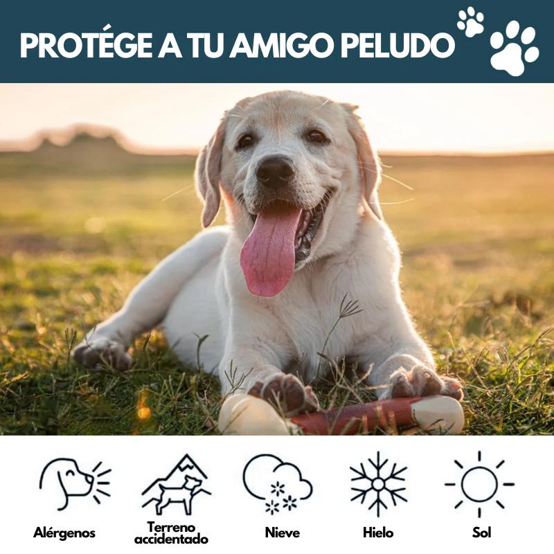 PawGuard - Bálsamo Reparador para Patas y Nariz