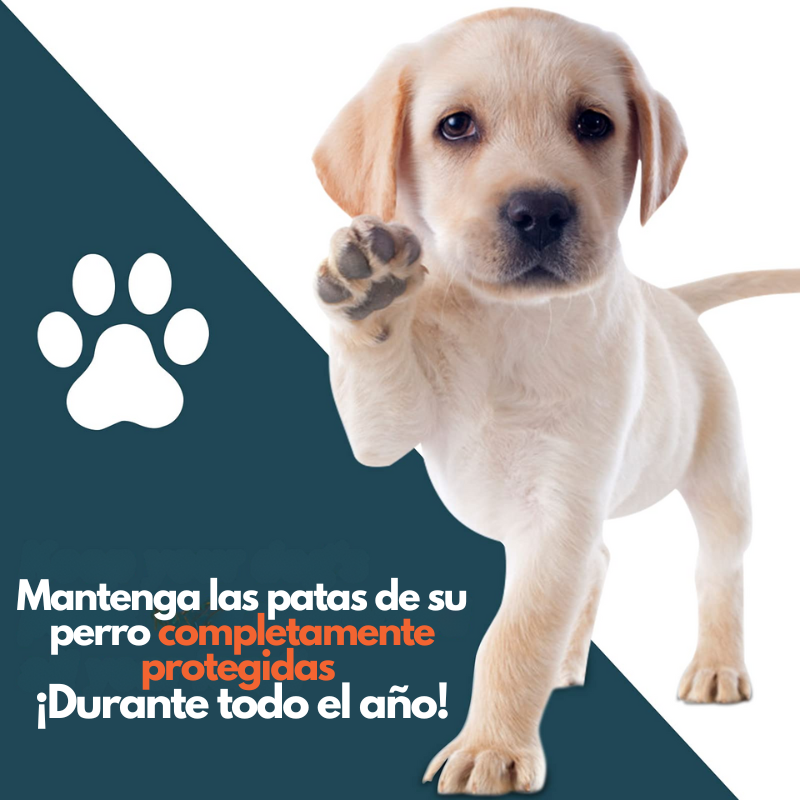 PawGuard - Bálsamo Reparador para Patas y Nariz