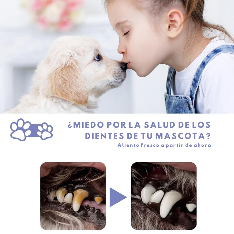 SmilePaws - Reparador Dental para Mascotas