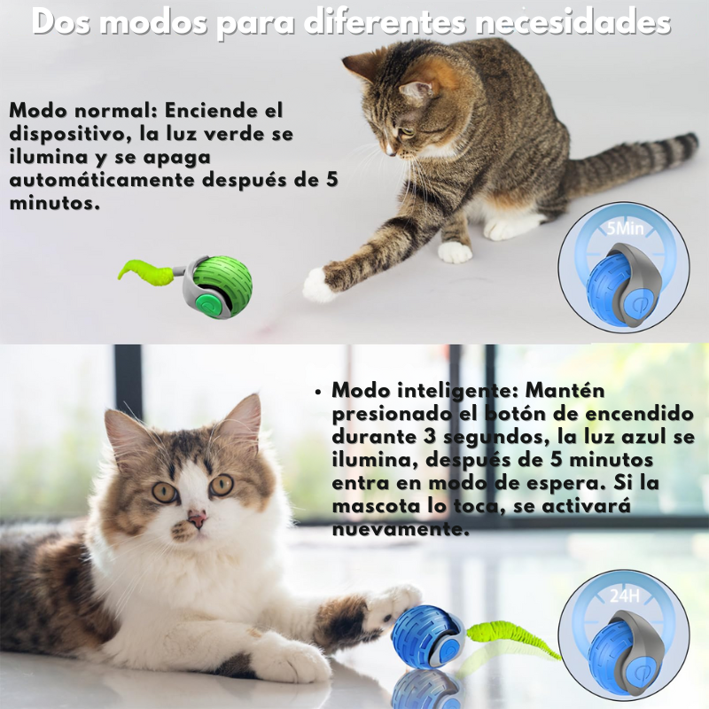 ChaseBall - Juguete Inteligente para Mascotas