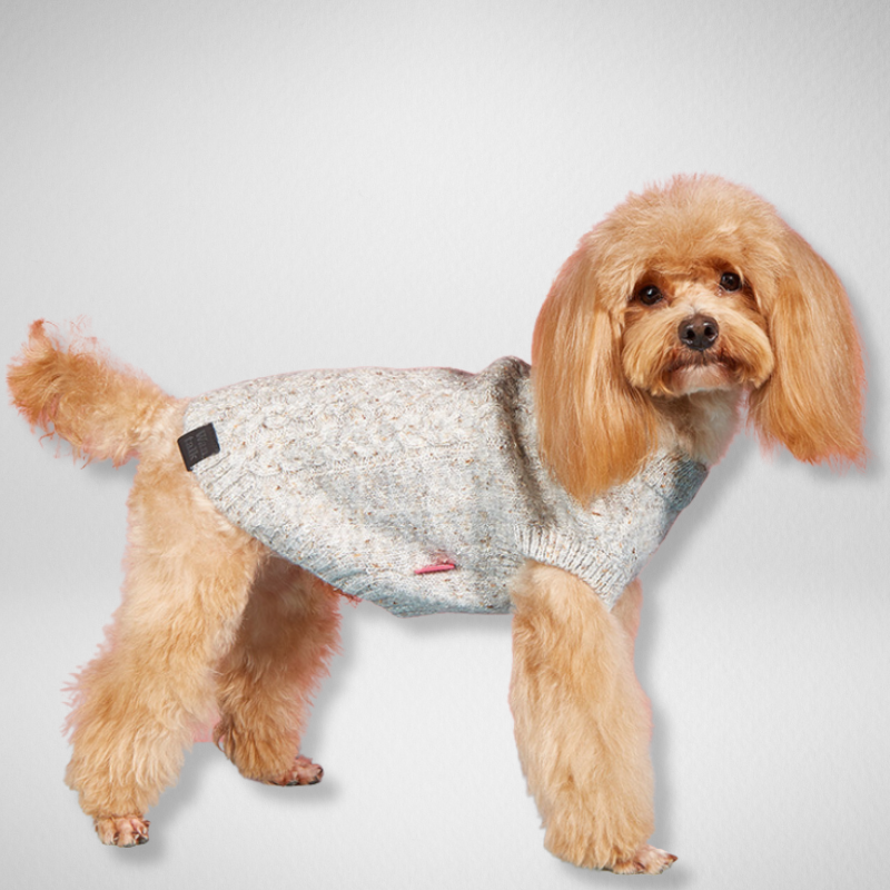 Cazy Beige - Suéter de Punto para Mascotas
