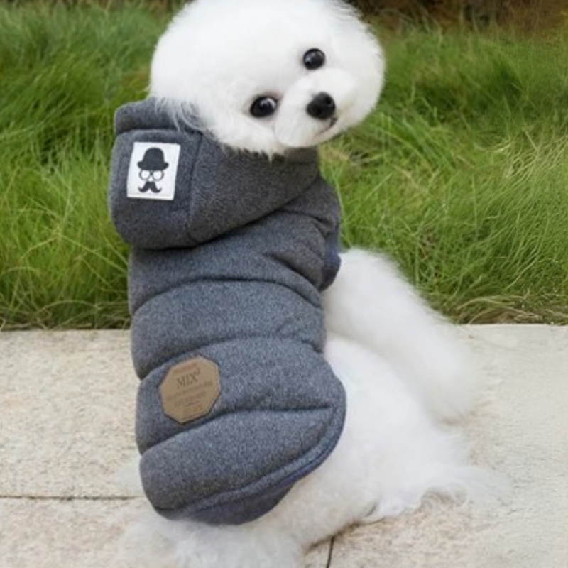 Pawsy Gris - Abrigo de Invierno con Capucha para Mascotas