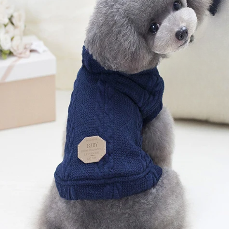 Vivid Azul - Abrigo Elegante de Invierno con Capucha para Mascotas