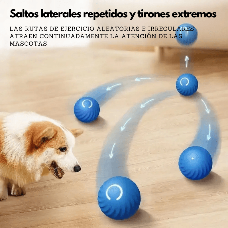 BarkRoll Juguete Interactivo Inteligente para Perros