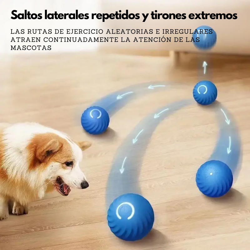 BarkRoll - Juguete Interactivo Inteligente