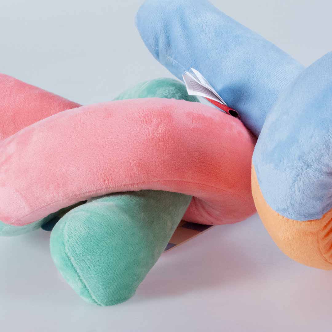 Juguete para Perros SNUGGLE SNAKE - Colores Surtidos - DogToy