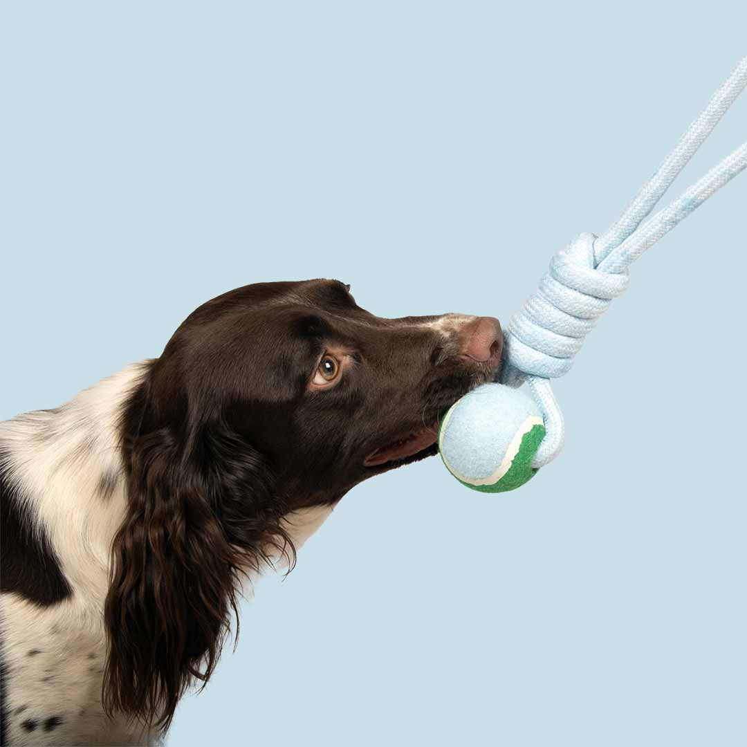 Pelota con Cuerda CATCH ME - Azul/Verde - DogToy