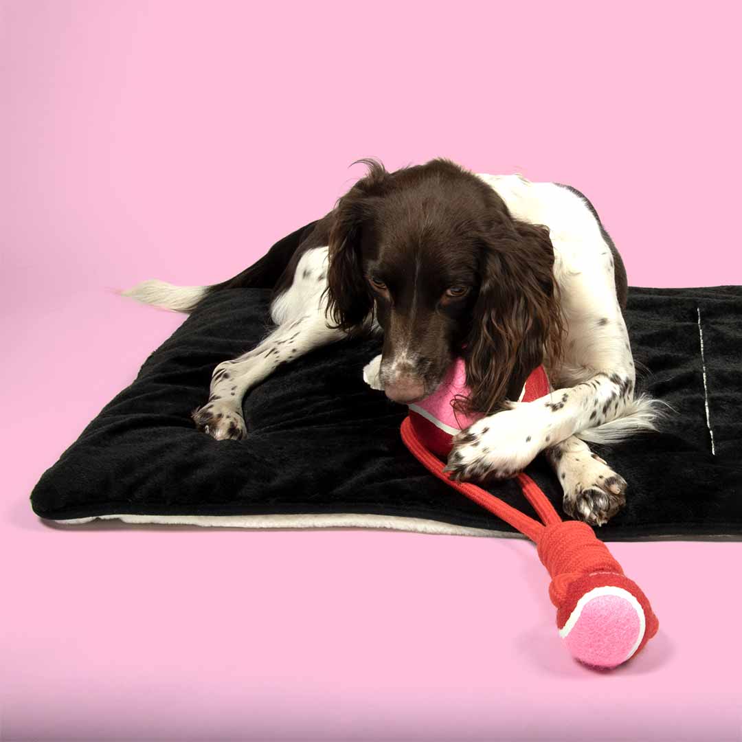 Pelota con Cuerda SWING ME - Rojo/Rosa - DogToy