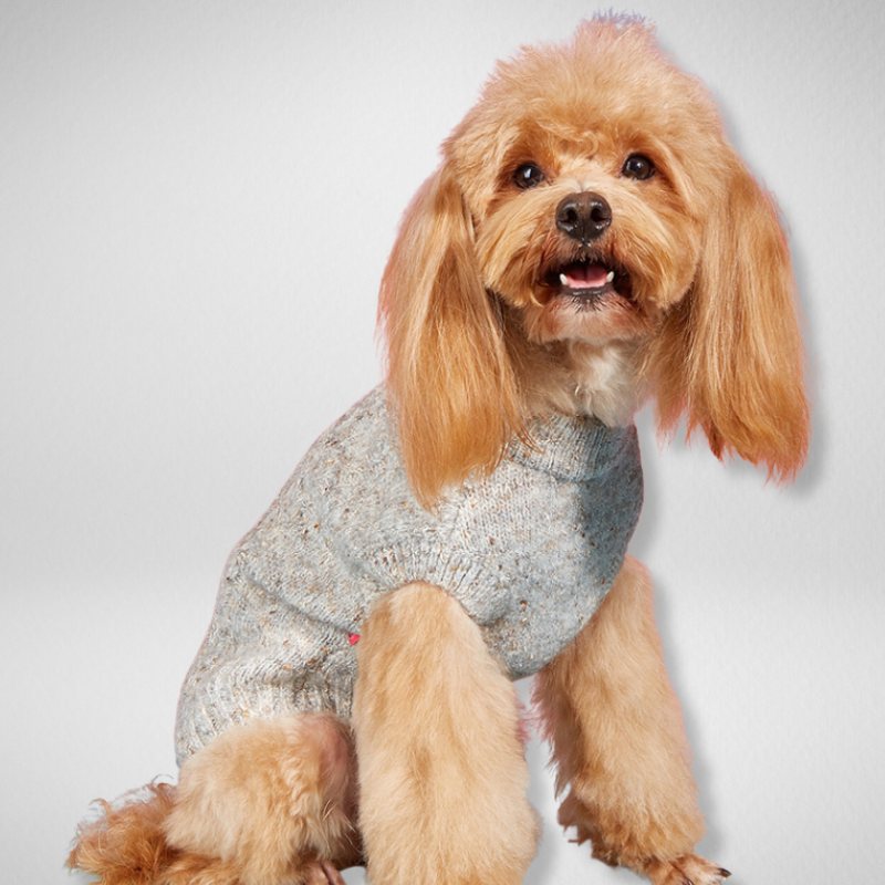 Cazy Beige - Suéter de Punto para Mascotas