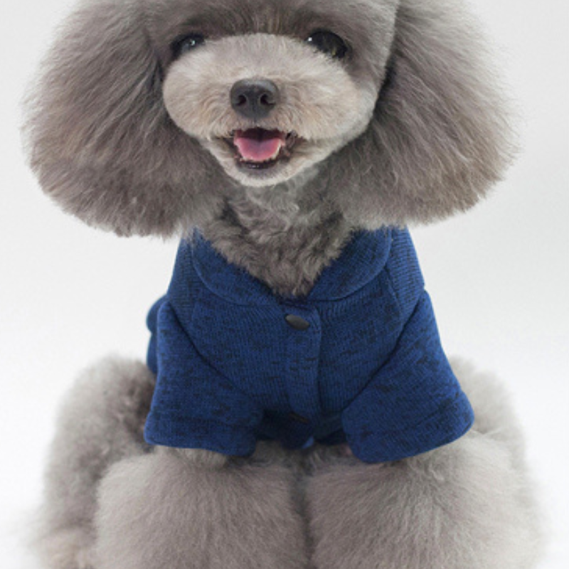 ChicPup Azul - Sudadera de Invierno con Capucha para Mascotas
