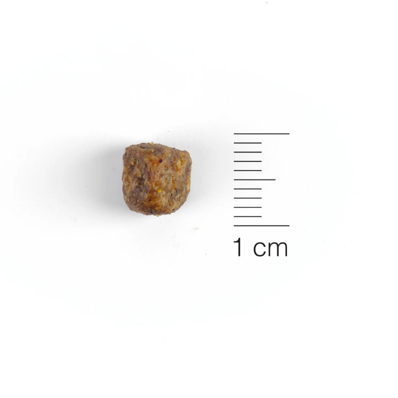 Natura Diet - Fish & Rice Mini (Hipoalergénico)